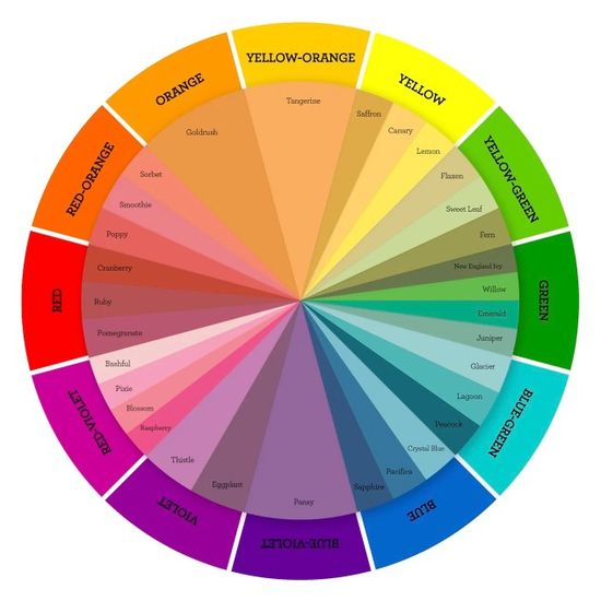 Color Palette